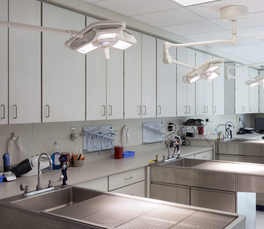 Examining tables in animal hospital vet with a commercial fit out
